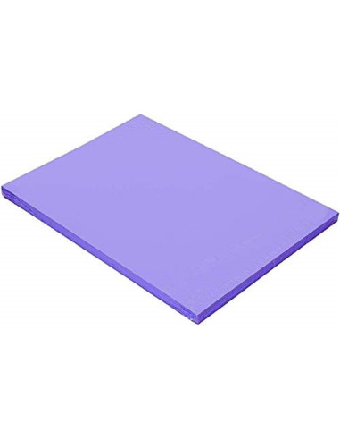 CARTULINA GUARRO DIN A4 VIOLETA 185 GR PAQUETE 50 H 200040165