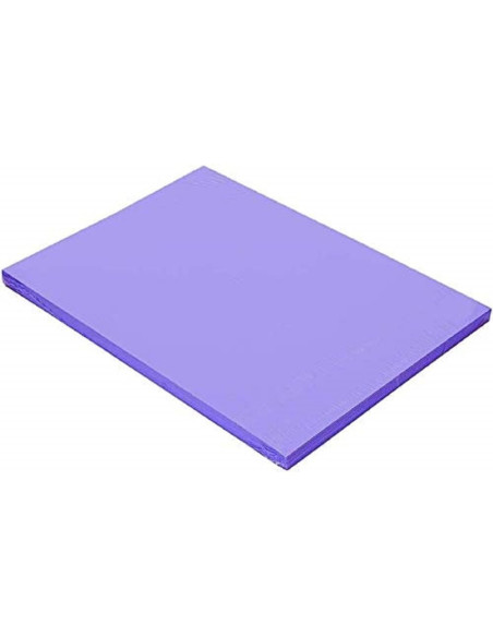 CARTULINA GUARRO DIN A4 VIOLETA 185 GR PAQUETE 50 H 200040165