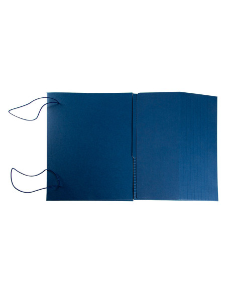 CARPETA PROYECTOS LIDERPAPEL EXPANSIBLE GOFRADA FOLIO