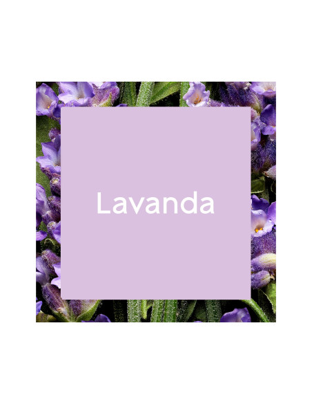 AMBIENTADOR SPRAY BRISE OLOR LAVANDA 300 ML