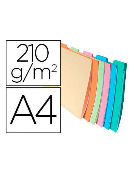 SUBCARPETA C/PESTAÑA LATERAL A4 AP. 210 GR. EXACOMPTA COL.SURT. 6 UD.