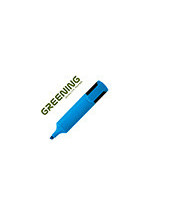 ROTULADOR GREENING FLUORESCENTE PUNTA BISELADA AZUL 2
