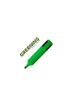 ROTULADOR GREENING FLUORESCENTE PUNTA BISELADA VERDE 2