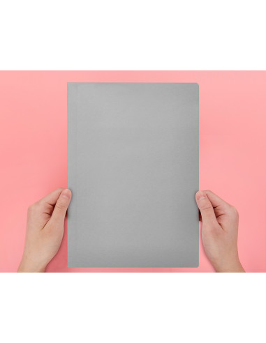 SUBCARPETA A4 180 GR. LIDERPAPEL GRIS C/50