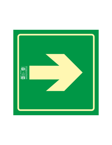 PICTOGRAMA SYSSA SEÑAL VIA EVACUACION PVC FOTOLUMINISCENTE 224X224 MM
