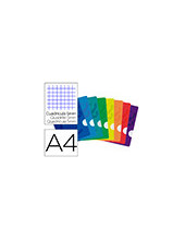 CUADERNO GRAP. OXFORD SCHOOL A4 T.FLEXIBLE 5MM 48H. 90GR. COL. SURT. 2
