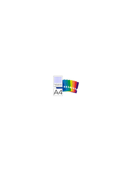 CUADERNO GRAP. OXFORD SCHOOL A4 T.FLEXIBLE 5MM 48H. 90GR. COL. SURT.