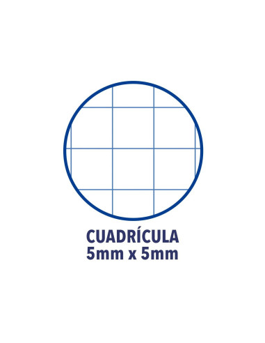 CUADERNO GRAP.OXFORD SCHOOL T.PLASTICO 90X140.5MM 5MM 48H. 90GR SURT.