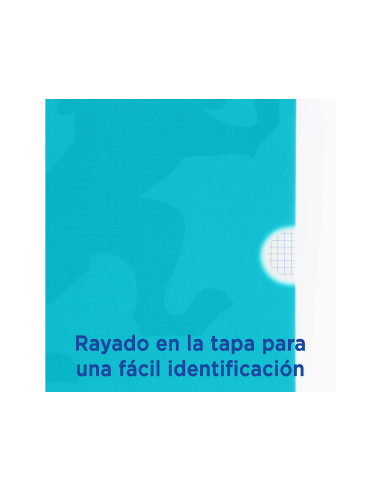 CUADERNO GRAP. OXFORD SCHOOL A5 T.FLEXIBLE 4MM 48H. 90GR. COL.SURT.