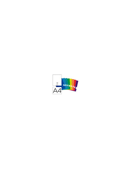 CUADERNO GRAP. OXFORD SCHOOL A4 T.FLEXIBLE LISO 48H. 90GR. COL.SURT.