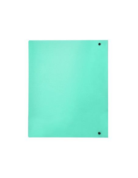 CARPETA LIDERPAPEL 4AN.MIXTAS 40MM PP.A4 VE. MANZANA OPACO