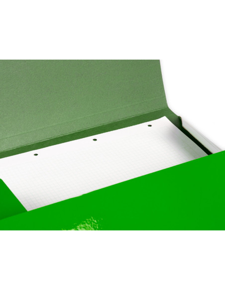 CARPETA  GOMAS FL. 3 SOLAPAS CARTON PLAST.VE.