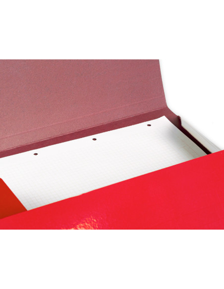 CARPETA  GOMAS FL. 3 SOLAPAS CARTON PLAST.RJ.