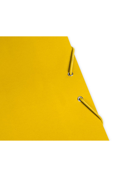 CARPETA  GOMAS FL. 3 SOLAPAS CARTON PLAST.AM.