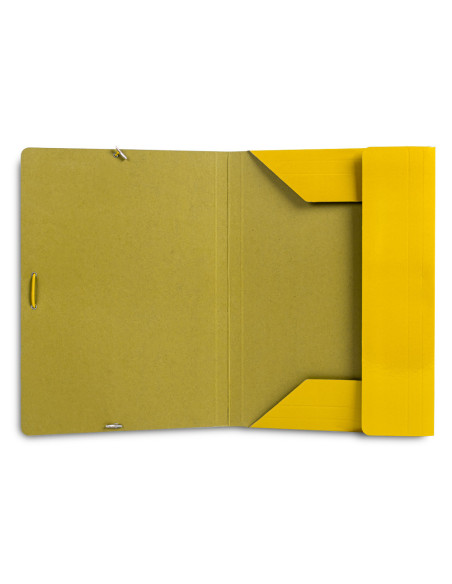 CARPETA  GOMAS FL. 3 SOLAPAS CARTON PLAST.AM.