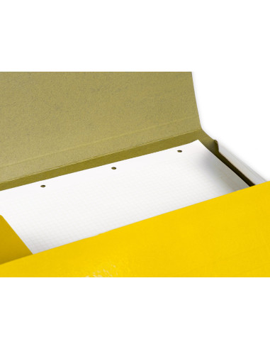CARPETA  GOMAS FL. 3 SOLAPAS CARTON PLAST.AM.