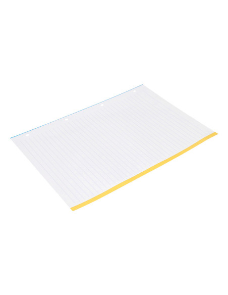 RECAMBIO  A4 100H. 100G/M2 RAYADO HOR.4 TAL.B.DE 5 ANTARTIK