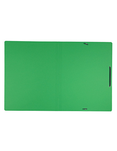 CARPETA LEITZ RECYCLE GOMAS A4 CARTON 100% VE.