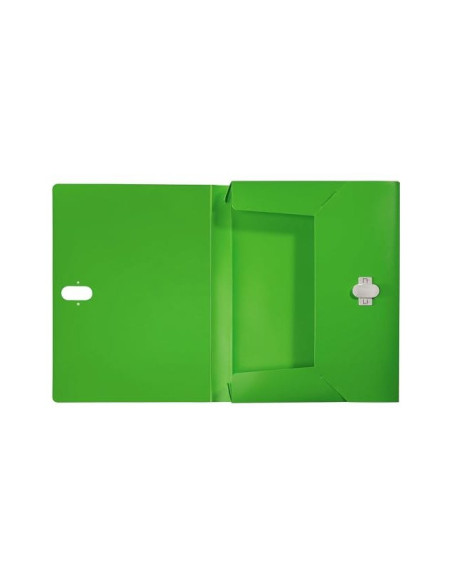 CARPETA PROYECTOS LEITZ RECYCLE A4 PP. LOMO 38MM VE.