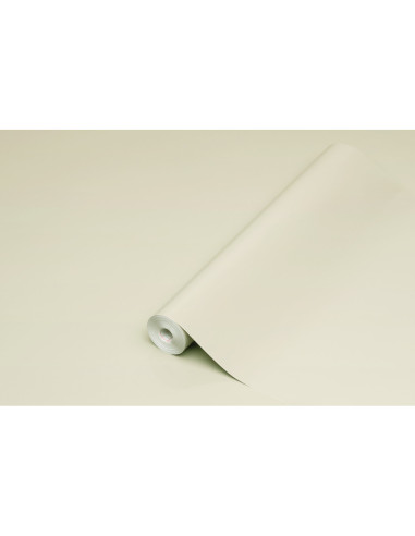 ROLLO ADH.D-C-FIX GRIS CLARO MATE ANCHO 45 CM LARGO 15MT.