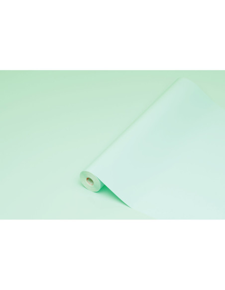 ROLLO ADH.D-C-FIX VE. MENTA ANCHO 45 CM LARGO 15MT.