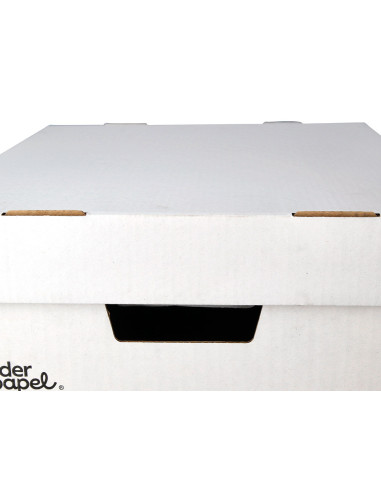 CONTENEDOR LIDERPAPEL CARTON AUTO 4 CAJAS 430X383X265MM BLANCO