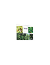 EXPOSITOR MURAL ARCHIVO 2000 A3 HOR.TAL. 2MM CRISTAL TPTE.420X325MM 2