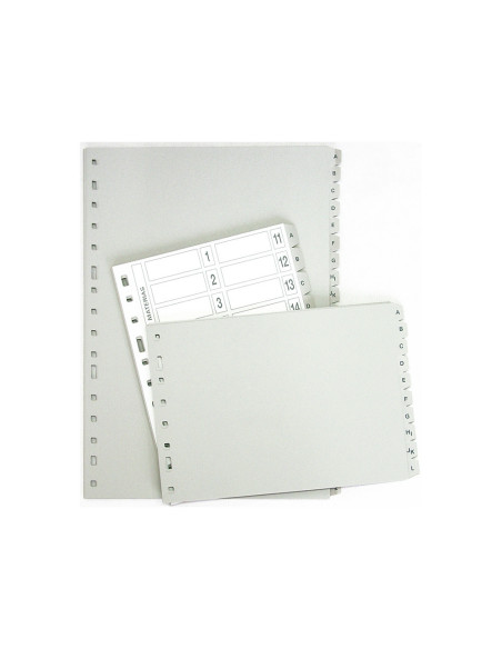 SEP.ALFABETICO MULTIFIN PLASTICO 3002