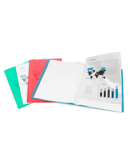 CARPETA ESCAPARATE 30 FUNDAS PP A4 RJ.FROSTY
