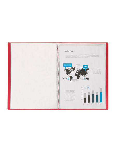 CARPETA ESCAPARATE 30 FUNDAS PP A4 RJ.FROSTY