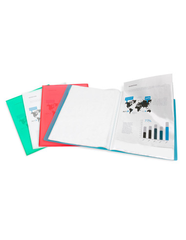CARPETA ESCAPARATE 30 FUNDAS PP A4 TPTE.FROSTY