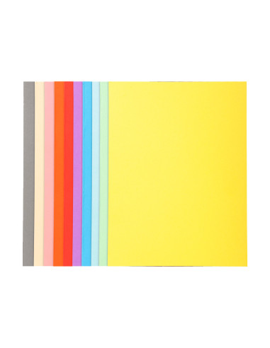 SUBCARPETA A4 170 GR. EXACOMPTA COLORES SURTIDOS C/100