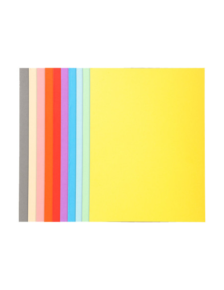 SUBCARPETA A4 170 GR. EXACOMPTA COLORES SURTIDOS C/100