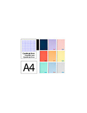 CUADERNO ESP. WONDER A4 T.PLASTICO 3MM 80H 90GR. COL.SURT. 2