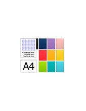 CUADERNO ESP. WITTY FL. T.DURA 3MM 80H. 75GR. COL. SURT. *09866 2