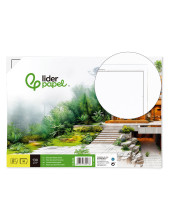 BLOC ENCOLADO LIDERPAPEL DIBUJO FL. 20H. 130GR.