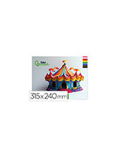 BLOC LIDERPAPEL MANUALIDADES 240X315MM CARTULINA 10H. SURT. 2