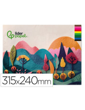 BLOC LIDERPAPEL MANUALIDADES 240X315MM FIELTRO 10H. 180GR. SURT.