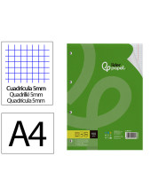 REC.DIN A4 100 H CUADRO 5 MM 4 TAL.C/MARGEN PAPEL 100 GRAMOS