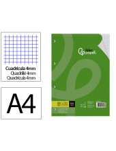 REC.DIN A4 100 H CUADRO 4 MM 4 TAL.C/MARGEN PAPEL 100 GRAMOS