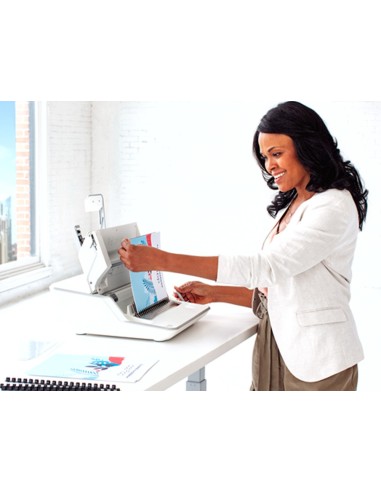 ENCUADERNADORA CANUTILLO FELLOWES LYRA 3 1 20H A4 300H GRAPA 30H 24