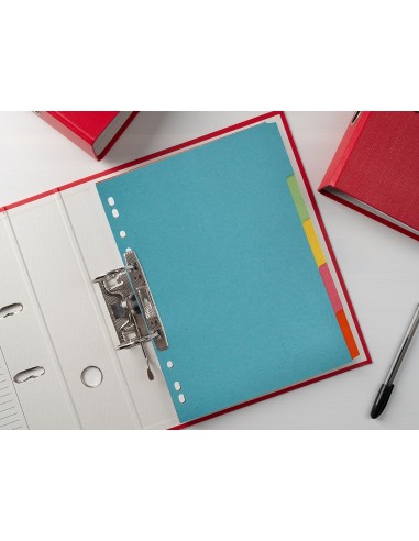 SEP.Q-CONNECT CARTULINA JUEGO 5 SEP.DIN A4 MULTITAL.