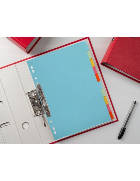 SEP.Q-CONNECT CARTULINA JUEGO 10 SEP.DIN A4-MULTITAL.