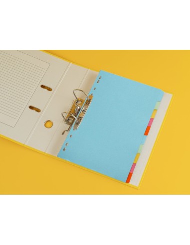 SEP.Q-CONNECT CARTULINA JUEGO 10 SEP.DIN A4-MULTITAL.