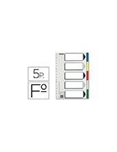 SEPARADOR ESSELTE PLASTICO JUEGO 5 SEPARADORES FL.5 MULTITALADRO 2