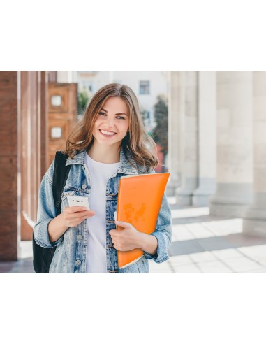 CARPETA ESCAPARATE 20 FUNDAS PP A4 NJ.FROSTY