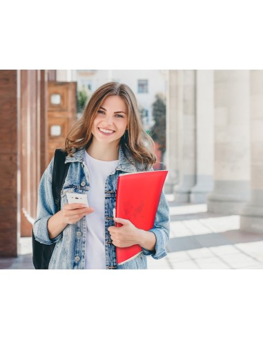 CARPETA ESCAPARATE 40 FUNDAS PP A4 RJ.FROSTY