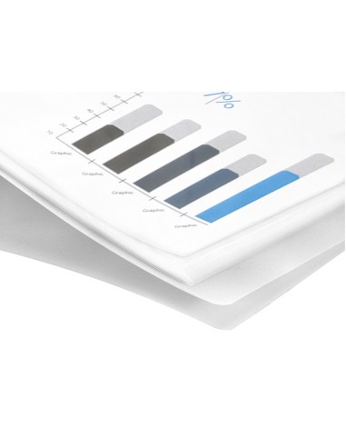 CARPETA ESCAPARATE 10 FUNDAS PP A4 TPTE.FROSTY