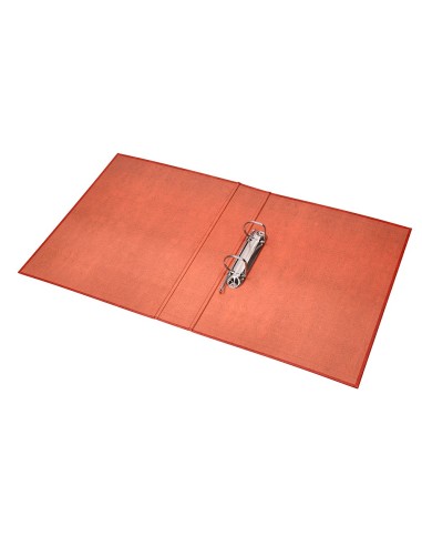 CARPETA 2 A 25 MM MIXTAS C.FORRADO CUERO FL.