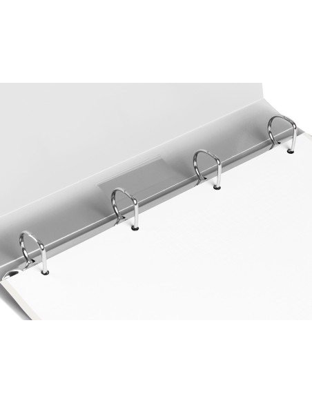 CARPETA 4 ANILLAS 25MM MIXTAS PP. A4 TRANSPARENTE